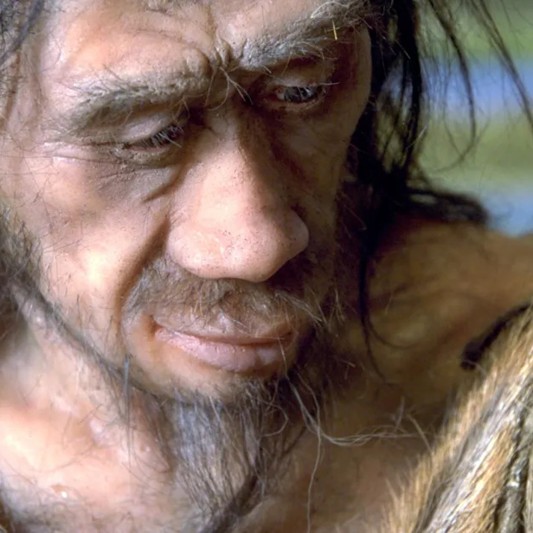 Carbohydrates and Sugars: Key Players in Human Evolution