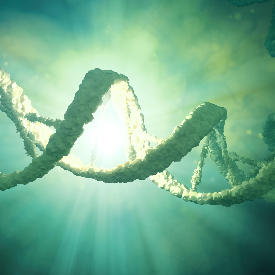 Environmental Chemicals and Radiation Stress: Implications for DNA Integrity